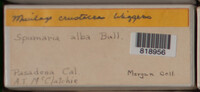 Image Associated With the Occurence
